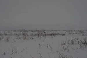 Зима. Снег. Заметённое поле